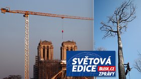 Oprava Notre-Dame: Staleté duby chystají koně i drony