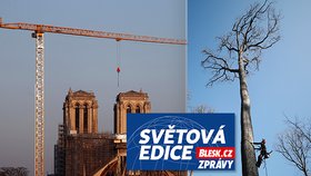Oprava Notre-Dame.