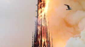 Věž pařížské katedrály Notre-Dame se kvůli mohutnému požáru zřítila.