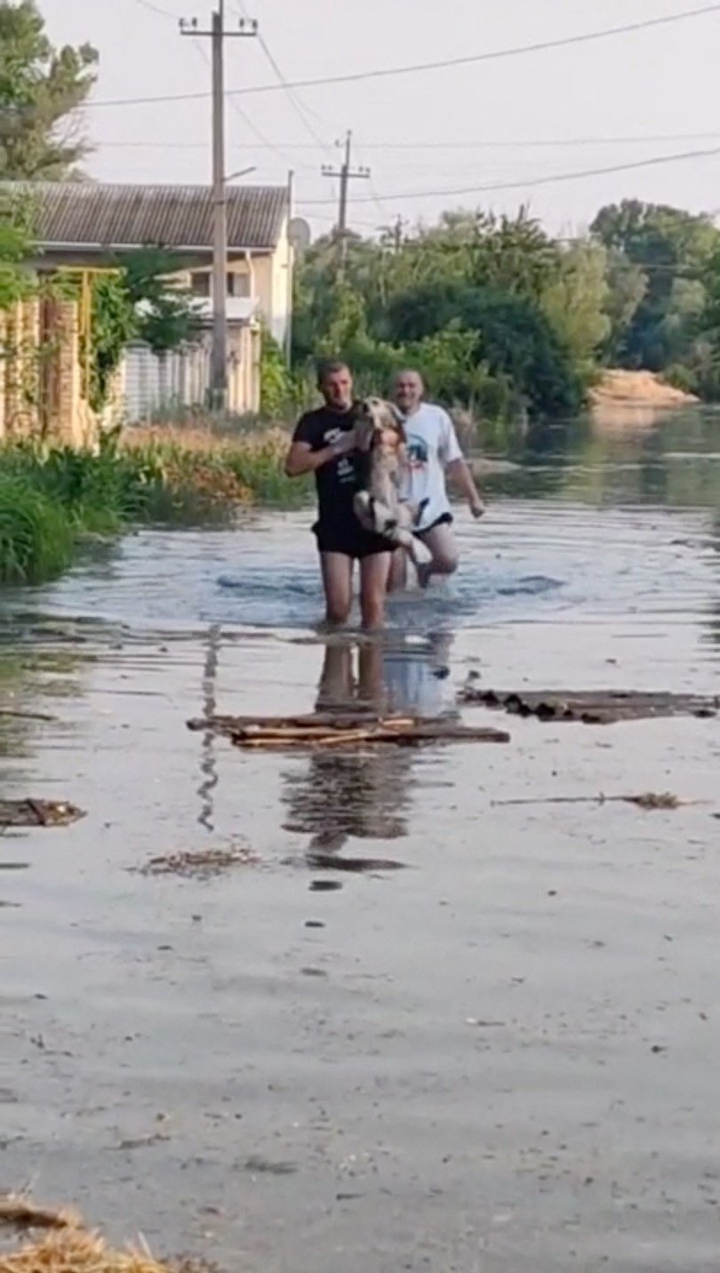 Lidé v Nové Kachovce zachraňují před vodou zvířata (7.6.2023)