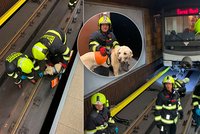 Neštěstí v Nových Butovicích: Nevidomá dívka spadla do kolejiště metra i se psem!