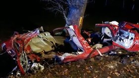 Při dopravní nehodě u Nových Hradů zemřeli tři mladí lidé, když s vozem Alfa Romeo narazili do dvou stromů po sobě.