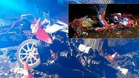 Vůz značky Alfa Romeo se rozlomilo. Při nehodě u Nových Hradů zemřeli tři lidé.
