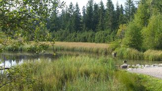 Chystáte se na Štrbské pleso? Tak nezapomeňte navštívit i Nové Štrbské pleso