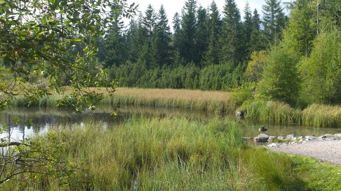 Nové Štrbské pleso