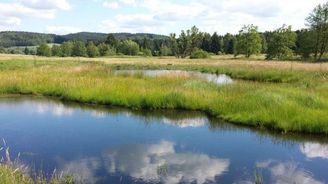 V Česku roste nový zelený developer: organizace vykupují tisíce hektarů přírody V Česku roste nový zelený developer: organizace vykupují tisíce hektarů přírody