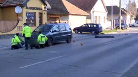 Mámu (†44) srazilo auto, když zachraňovala pejska před přejetím.