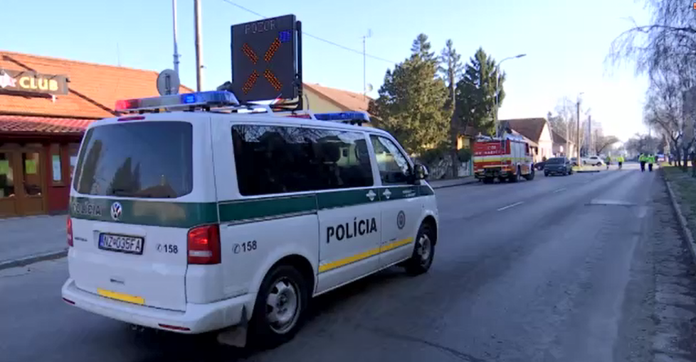 Mámu (†44) srazilo auto, když zachraňovala pejska před přejetím.