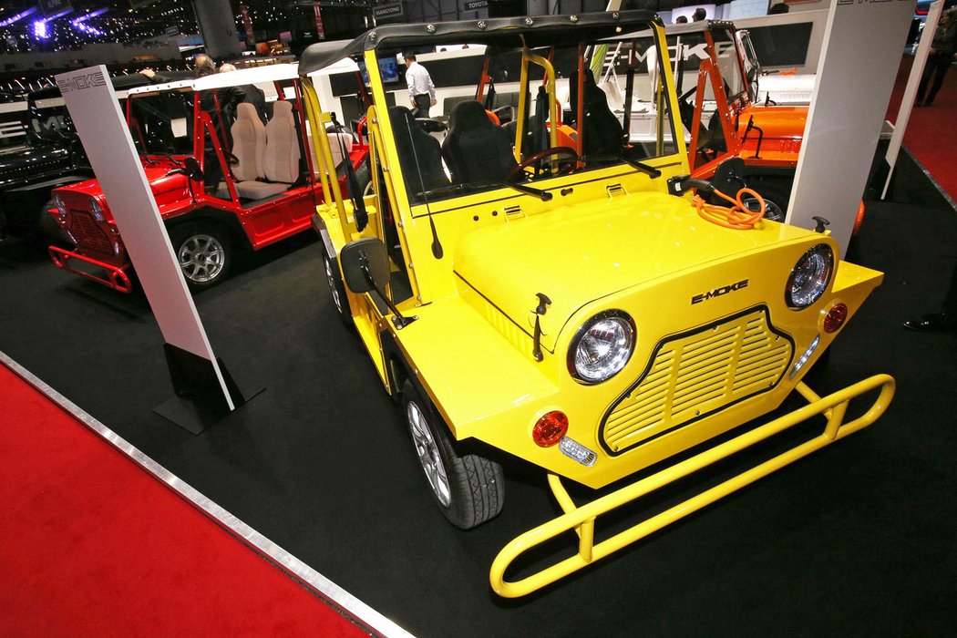 E-MOKE