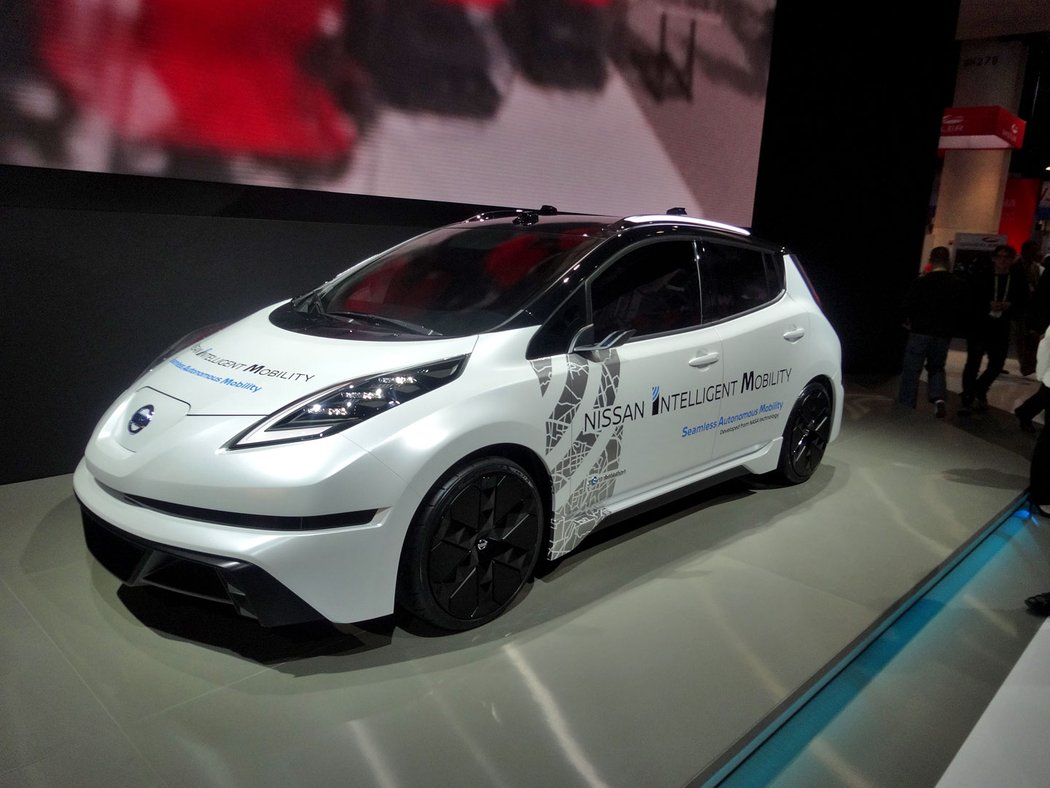 Nissan Leaf SAM