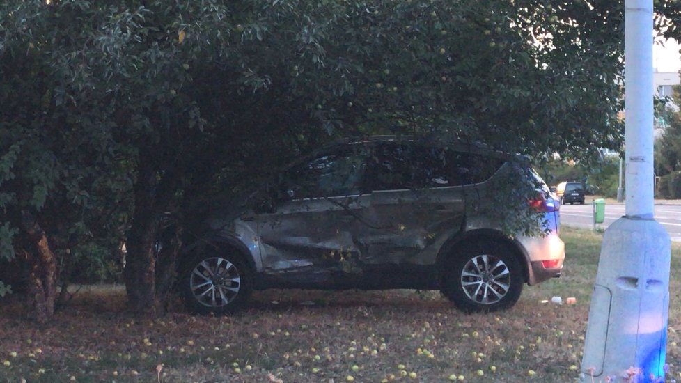 Policisté nabourali do lampy veřejného osvětlení.