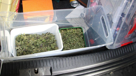 On Novopatskaya Street in Prague, police detained a man who was transporting marijuana, methamphetamine and kilograms of pills needed for the production of drugs.