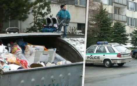 Policisté po dvaceti letech objasnili případ vraždy novorozence v Krupce na Teplicku. 