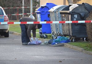 Nález mrtvého miminka na Olomoucku: Policie už zná výsledky pitvy, po matce dál pátrají. (Ilustrační foto)