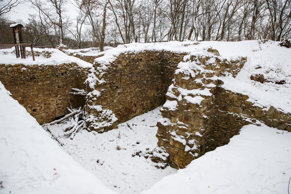 Z Nového hradu u Kunratic zbyly jen pozůstatky některých palácových či obvodových zdí.