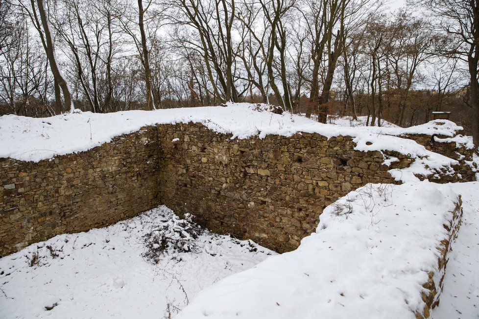 Z Nového hradu u Kunratic zbyly jen pozůstatky některých palácových či obvodových zdí.