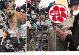 Pes živořil na hromadě odpadků. Po zásahu Blesk tlapek začaly padat pokuty, odebrán ale nebyl