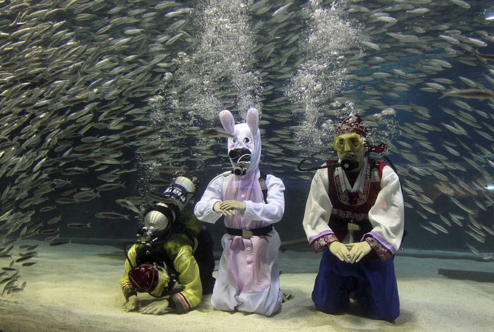 V jihokorejském Soulu slaví i v akváriu