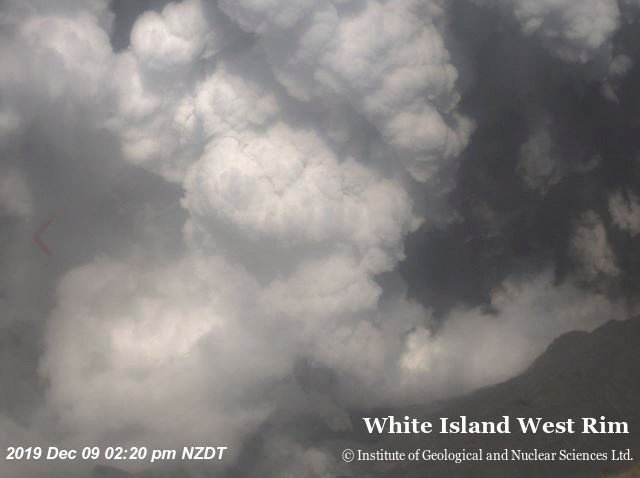 Erupce novozélandské sopky si vyžádala nejméně jednoho mrtvého a desítky zraněných, (9. 12. 2019).