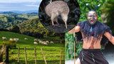 Nový Zéland není jen Pán prstenů: Do země proslavené Hobity vyrazte za Maory i podivným ptákem kivi
