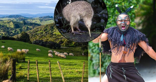 Nový Zéland není jen Pán prstenů: Do země proslavené Hobity vyrazte za Maory i podivným ptákem kivi