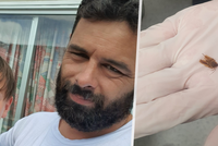Muž tři dny neslyšel na jedno ucho: Nebyl to nádor, zabydlel se mu tam šváb!
