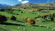 Kraj Otago na Novém Zélandu: Eldorado zlatokopů a milovníků cyklistiky