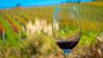 Víno z ostrova Waiheke