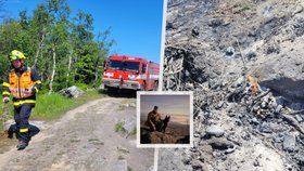 Další požár v Českém Švýcarsku! Pomohli pohotoví turisté a dobrovolník Kosťa se psím parťákem Rexem