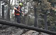 Hasiči nalezli dílčí ohniska v severní části prostoru nad Hřenskem a Křídelních stěnách.