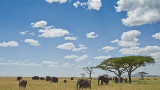 Dobrodružné safari aneb 10 nej národních parků Afriky