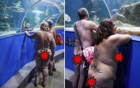 Nudisti se v akváriu pořádně rozdováděli.