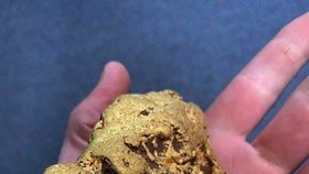 Zlatý nugget vážící 1,4 kilogramu. Našel ho muž, který si přál zůstat v anonymitě. V ruce ho drží majitel obchodu Matt Cook.