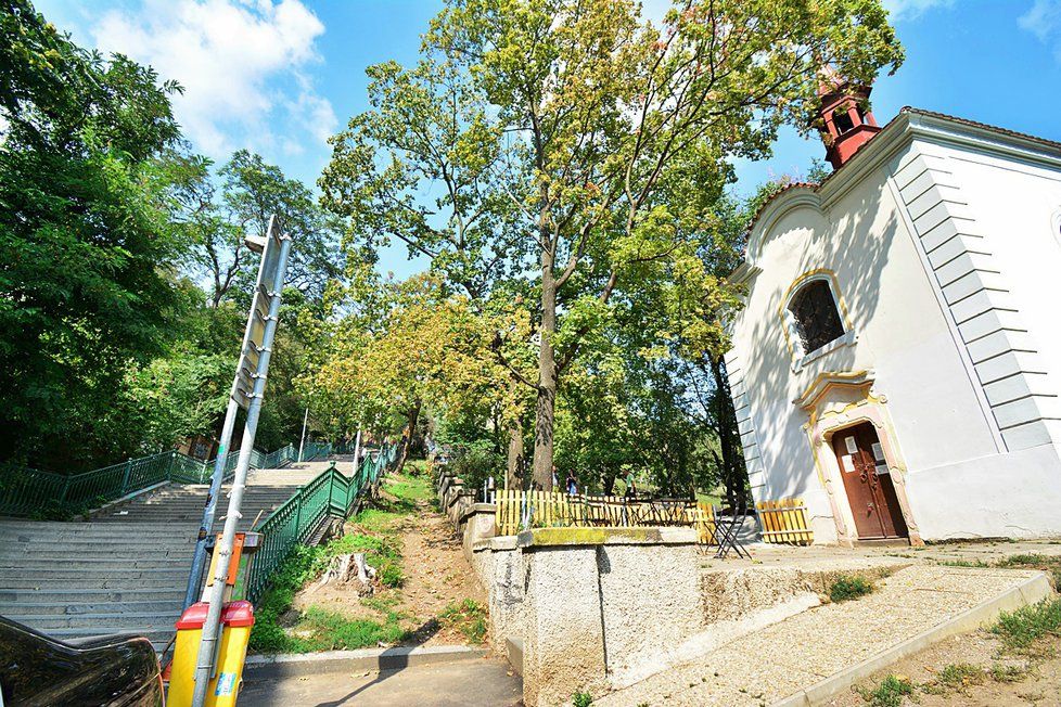 U Nuselských schodů vzniká mini-park. Zasadili se o něj zdejší obyvatelé.