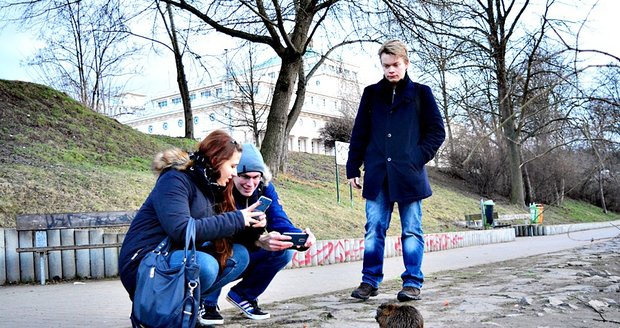 Pražané už nekrmí jen labutě. Do Podolí míří na krmení nutrií