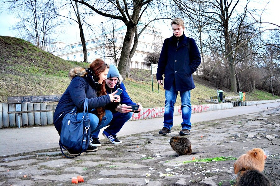 Pražané už nekrmí jen labutě. Do Podolí míří na krmení nutrií