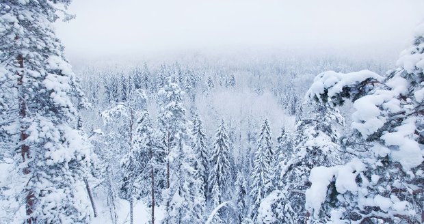 Národní park Nuuksio u města Espoo, kde bylo tělo Češky nalezeno.