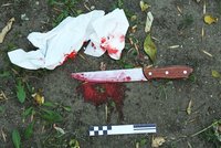 Opilý otec se v Jirkově pokusil zabít svého syna: Vzal na něj nůž!