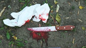Soused vyděsil ženu zabitými zvířaty a krvavým nožem: Případ má bizarní vysvětlení