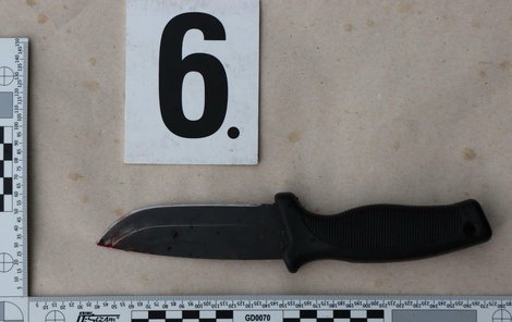 Nůž, kterým mladá žena přítele napadla.