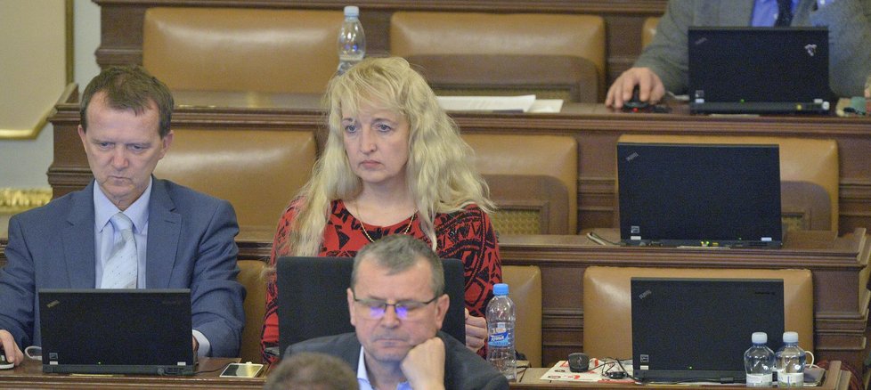 Poslankyně Pavlína Nytrová ve Sněmovně