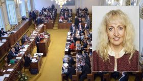 Pavlína Nytrová svým vystoupením pobouřila některé poslance i ministry. Omlouvat se ale nebude.