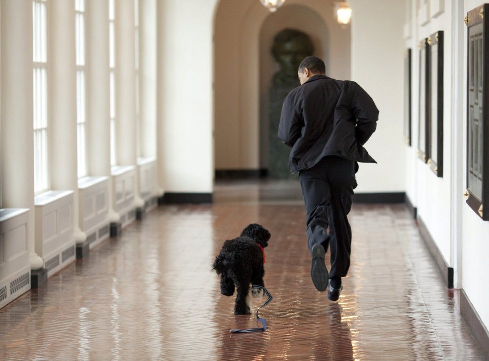 Osm let ve funkci prezidenta USA. Barack Obama v momentech zachycených fotografem Bílého domu.