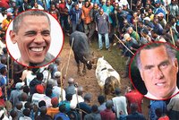 Býčí zápasy v Keni: Obama porazil Romneyho