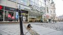 Velká část obchodů v centru spadá do kategorie retailu, jejíž provoz byl v posledním roce silně omezen. Velká část obchodů v centru spadá do kategorie retailu, jejíž provoz byl v posledním roce silně omezen.