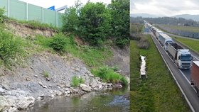 Řeka Olše se nebezpečně přibližuje obchvatu Třince, po kterém denně projedou desetitisíce aut a kamionů.