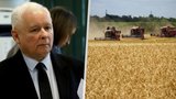 Poláci zakázali dovoz obilí z Ukrajiny. Zemědělci si stěžovali na nízkou cenu
