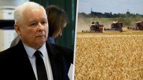 Poláci zakázali dovoz ukrajinského obilí, bylo příliš levné