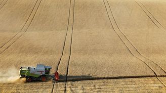 Obavy o dostatek pšenice mohou dál utlumovat její vývoz i vyvolat nové Arabské jaro