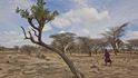 Oblast západní Turkany v africké Keni většinu roku trápí obrovské sucho.